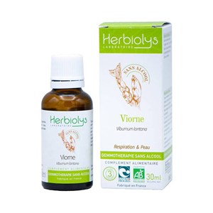 Macérat de bourgeon sans alcool de viorne bio - respiration et peau