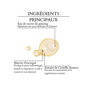 Sérum régénérant : ginseng + bave d'escargot 30ml