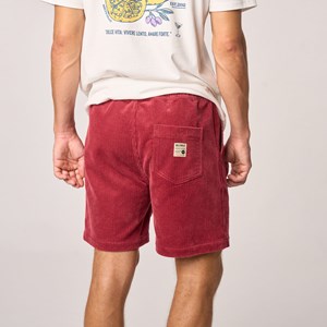Short en velours bordeaux S
