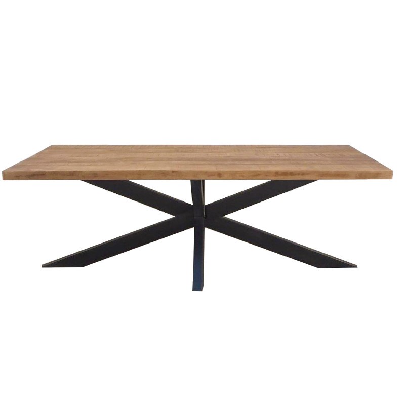 Manaus-table à manger 8 personnes 200 cm en bois massif