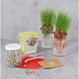 Coffret anniversaire 10 mr patate