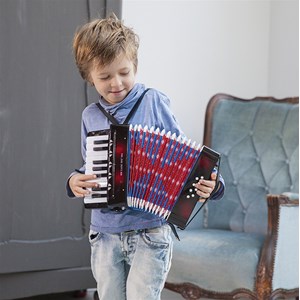 Accordéon noir