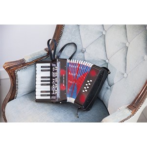 Accordéon noir