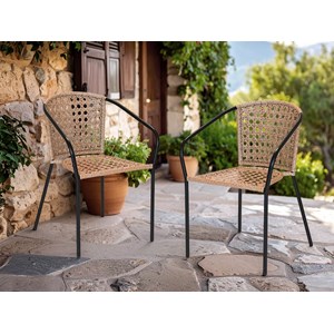 Lot de 2 fauteuil en jardin en résine tressée imitation rotin cocos - jardiline
