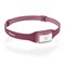 Biolite range 300 - lampe frontale led 300 lm - running - recharge rapide ip67 Violet