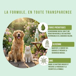 Spray dentaire chien & chat 100% naturel, hygiène, haleine, plaque, anti tarte