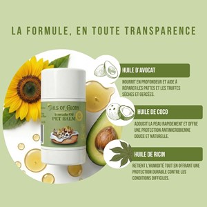 Stick baume coussinets & truffe chiens & chats 100% naturel