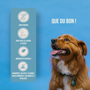 Stick baume coussinets & truffe chiens & chats 100% naturel