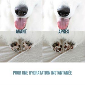 Stick baume coussinets & truffe chiens & chats 100% naturel