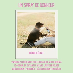 Eau de cologne 100% naturelle pour chiens  - tropical bliss - vegan - 300ml