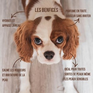 Eau de cologne 100% naturelle pour chiens  - tropical bliss - vegan - 300ml