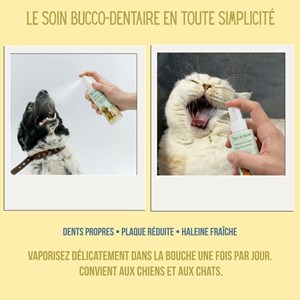 Coffret nettoyant naturel yeux, oreilles & hygiène buccale chien et chat