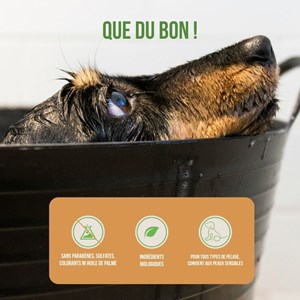 Shampoing solide chiens & chiots bio, peau sensible à l’huile d’argan 100g