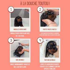 Shampoing solide chiens & chiots bio, peau sensible à l’huile d’argan 100g