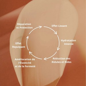 Actif anti-rides – peau lisse & rebondie
