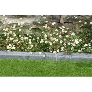 Bordure ardoise patinée xl 50 cm - pack 28 pièces - 14 mètres