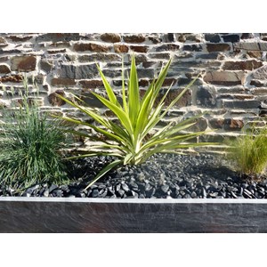 Bordure ardoise 50 cm - pack de 16 pièces