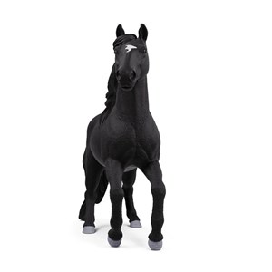14918 l etalon lusitanien