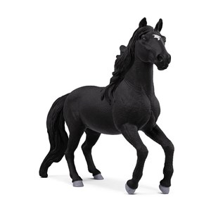 14918 l etalon lusitanien