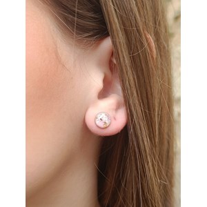 Clou d’oreilles noélie en acier inoxydable et inclusion de fleurs séchées