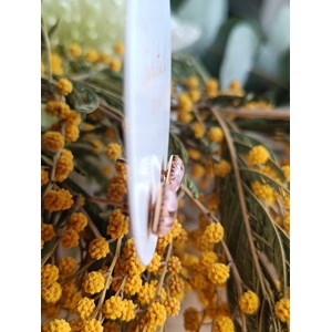 Clou d’oreilles noélie en acier inoxydable et inclusion de fleurs séchées