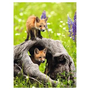 Puzzle xxl 300 pieces mignons renard