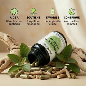 Gélules d'ashwagandha ksm-66® - stress & sommeil