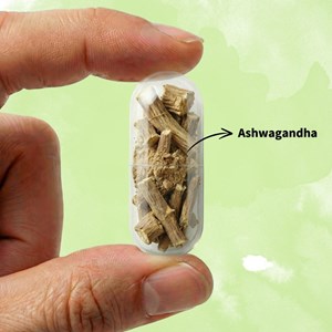 Gélules d'ashwagandha ksm-66® - stress & sommeil