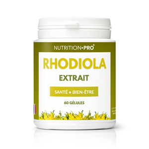 Rhodiola 60 gelules anti-stress et energie mentale
