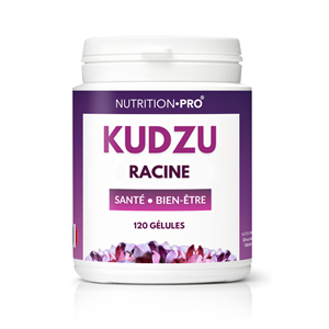 Kudzu 120 gelules reduction envies et equilibre nerveux