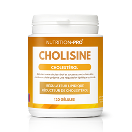 Cholisine 120 gelules cholesterol equilibre et coeur