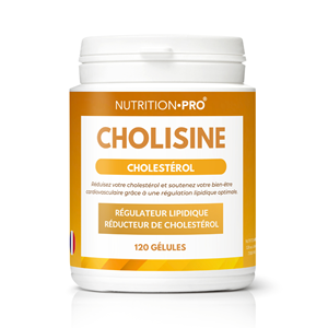 Cholisine 120 gelules cholesterol equilibre et coeur