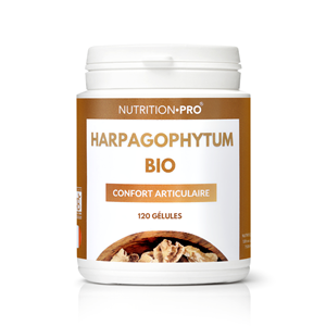 Harpagophytum bio 120 gelules confort articulaire et mobilite