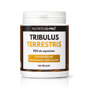 Tribulus terrestris 120 gelules vitalite et tonus masculin