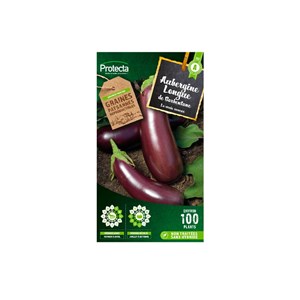 Aubergine violette de barbentane