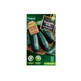 Courgette verte des maraîchers