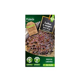 Laitue à couper red salad bowl