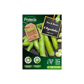 Fève d'agualduce à très longue cosse