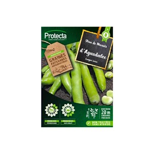 Fève d'agualduce à très longue cosse