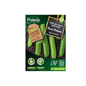 Pois nain à grain rond douce provence