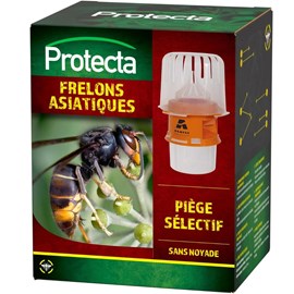 Piège sélectif pour frelons asiatiques