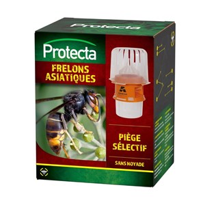 Piège sélectif pour frelons asiatiques