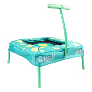 Trampoline bluey