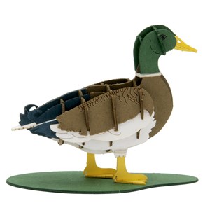 Maquette 3d en papier canard colvert mâ