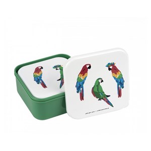 Set de 3 lunch box les perroquets