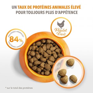 Croquettes chat stérilisé - iams for vitality