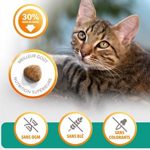 Croquettes chat stérilisé - iams for vitality