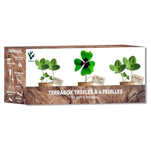 Nopalia® kit trèfle à 4 feuilles porte-bonheur