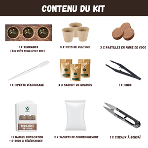 Kit bonsaï prêt à pousser – graines 100% biologiques