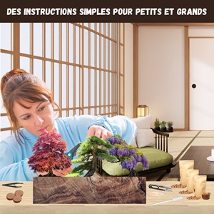 Kit bonsaï prêt à pousser – graines 100% biologiques
